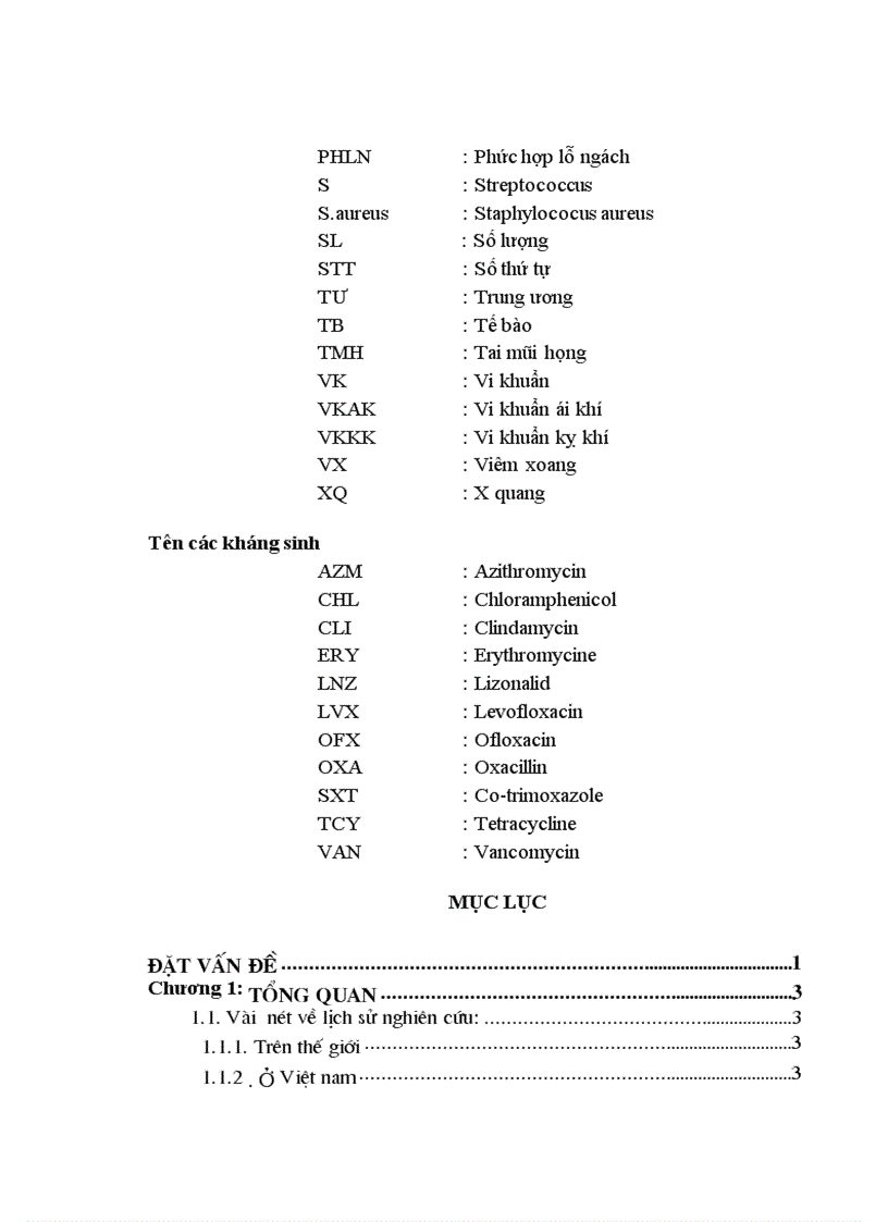 image for page Tìm hiểu các loại vi khuẩn trong xoang xác định độ nhạy cảm với kháng sinh của các loại vi khuẩn thường gặp trong viêm xoang