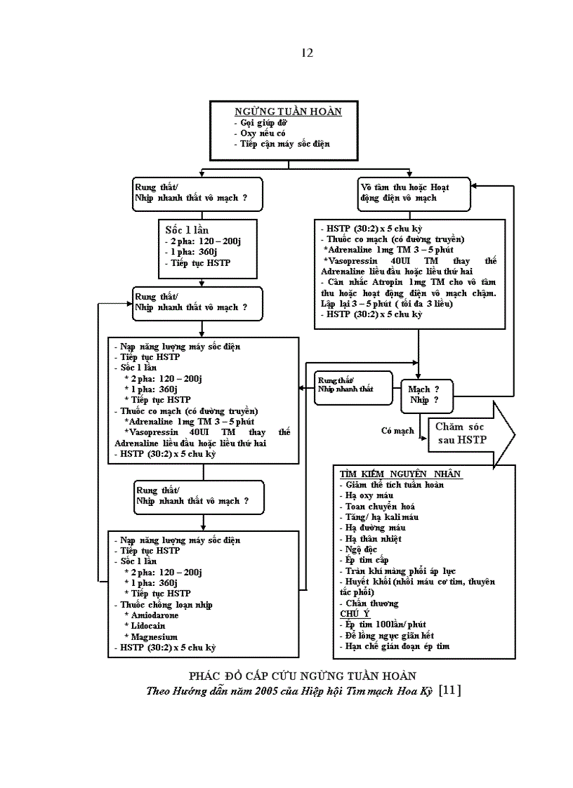 image for page Nghiên cứu áp dụng Combitube để kiểm soát đường thở trong xử trí ngừng tuần hoàn tại Khoa Cấp cứu Bệnh viện Bạch Mai