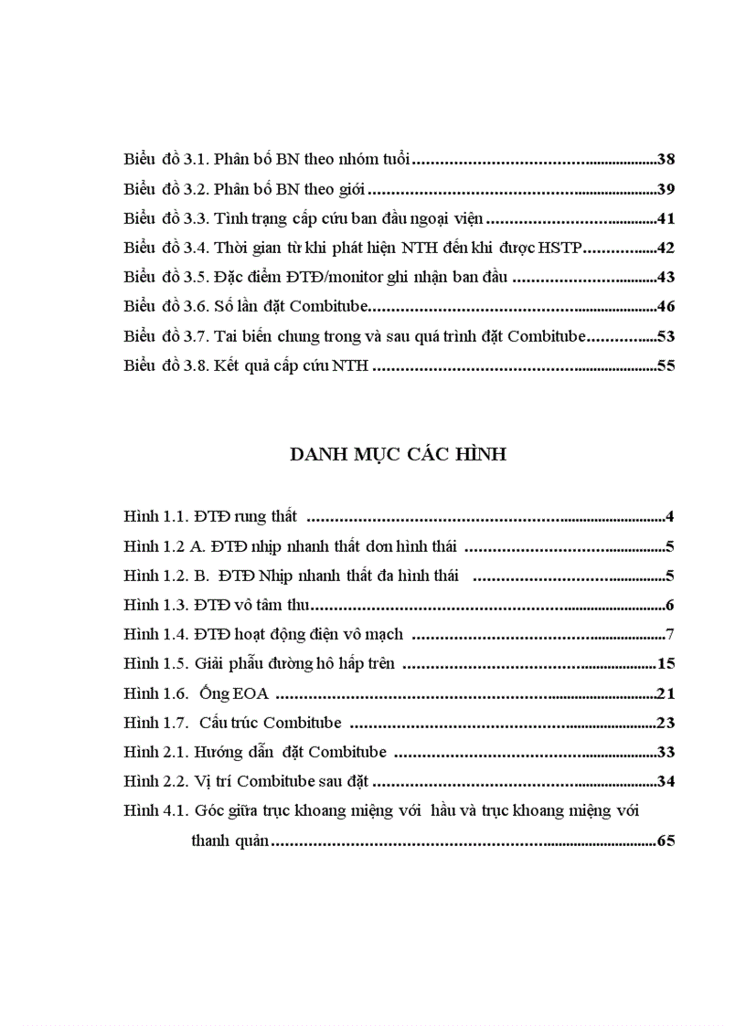 image for page Nghiên cứu áp dụng Combitube để kiểm soát đường thở trong xử trí ngừng tuần hoàn tại Khoa Cấp cứu Bệnh viện Bạch Mai