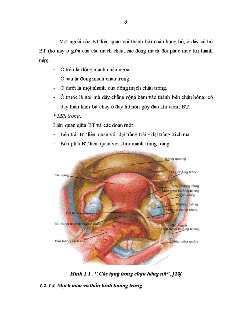 image for page Nhận xét đặc điểm lâm sàng cận lâm sàng và giá trị sinh thiết tức thì trong chẩn đoán u buồng trứng tại Bệnh viện K