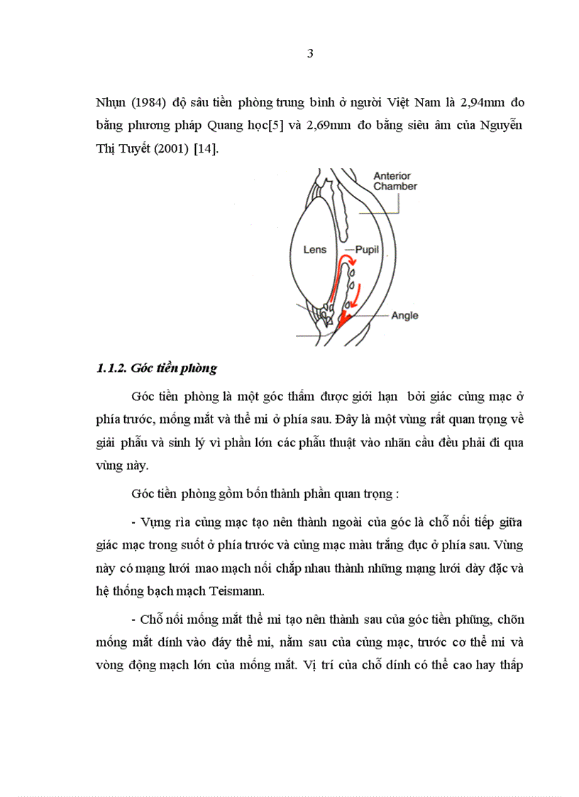 image for page Nghiên cứu biến chứng xẹp tiền phòng sau phẫu thuật cắt bè củng giác mạc điều trị bệnh Glôcôm