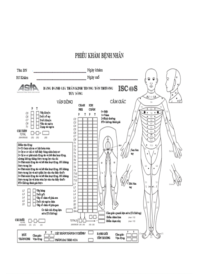 image for page Nghiên cứu triệu chứng lâm sàng cận lâm sàng và kết quả điều trị phẫu thuật chấn thương cột sống bản lề Ngực Thắt lưng có tổn thương thần kinh