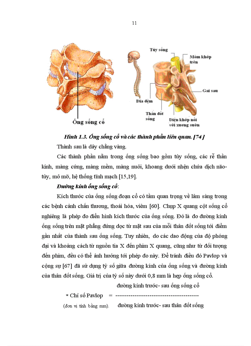 image for page Nghiên cứu các đặc điểm lâm sàng và hình ảnh chụp cộng hưởng từ của bệnh nhân hẹp ống sống cổ tại Khoa Thần kinh Bệnh viện Bạch Mai 1