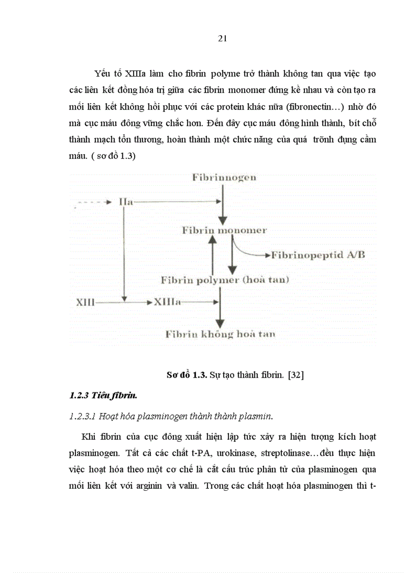 image for page Nghiên cứu một số yếu tố có liên quan đến rối loạn đông máu ở bệnh nhân ung thư gan nguyên phát có hóa trị liệu