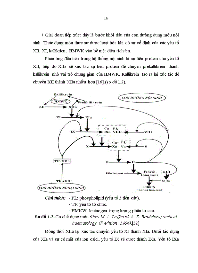 image for page Nghiên cứu một số yếu tố có liên quan đến rối loạn đông máu ở bệnh nhân ung thư gan nguyên phát có hóa trị liệu 1