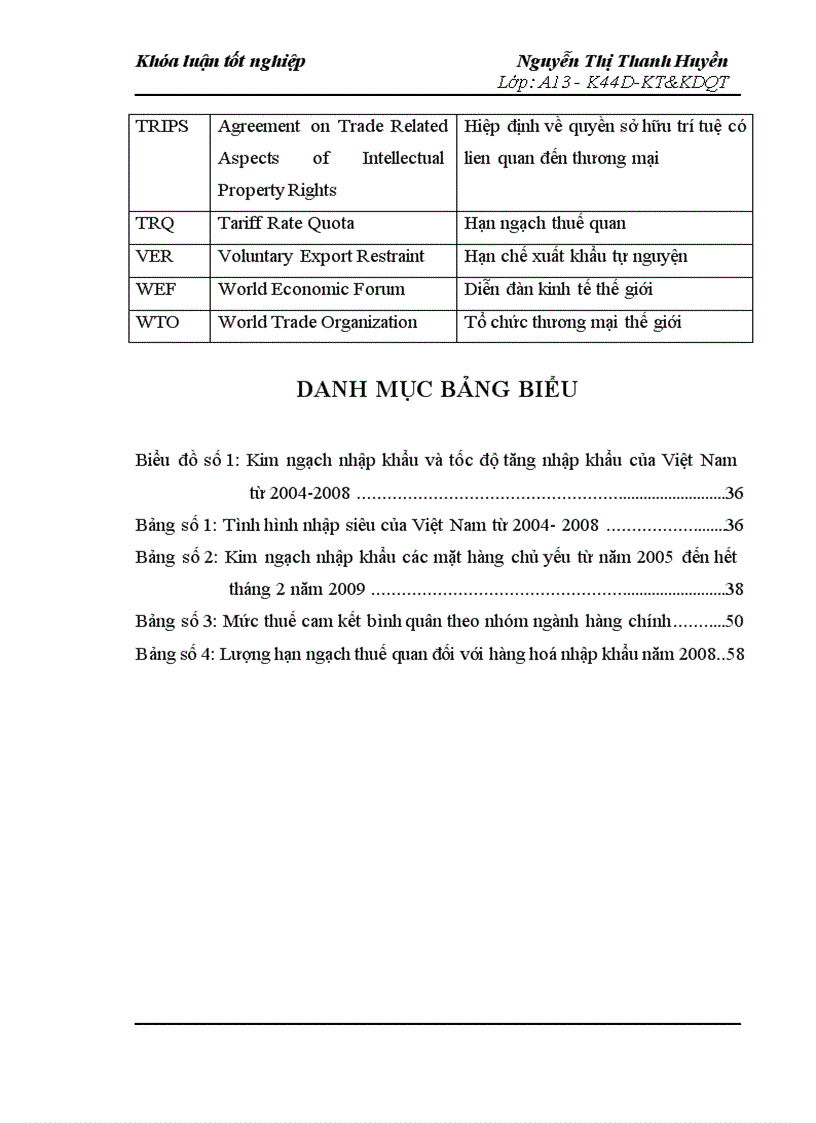 Bảo hộ thương mại trong bối cảnh Việt Nam là thành viên của WTO thực trạng và giải pháp