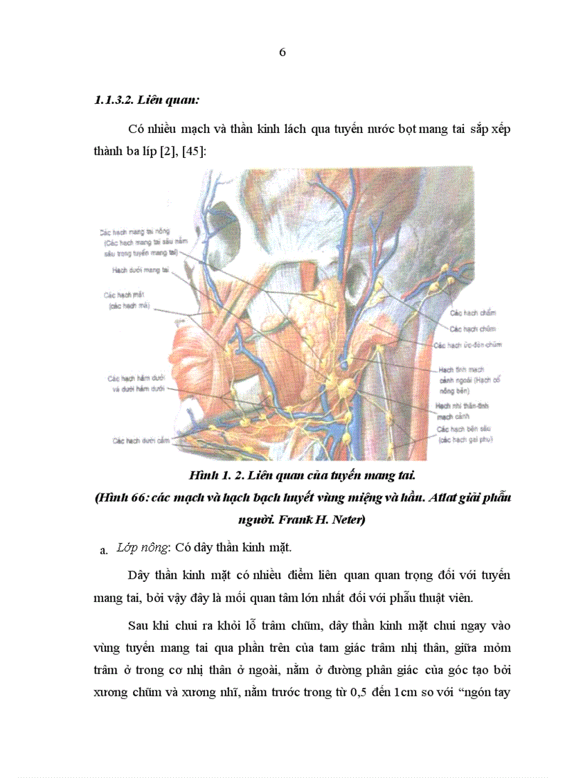 image for page Nhận xét đặc điểm lâm sàng cận lâm sàng và kết quả điều trị của ung thư tuyến mang tai tại bệnh viên k từ năm 2005 đến 2009