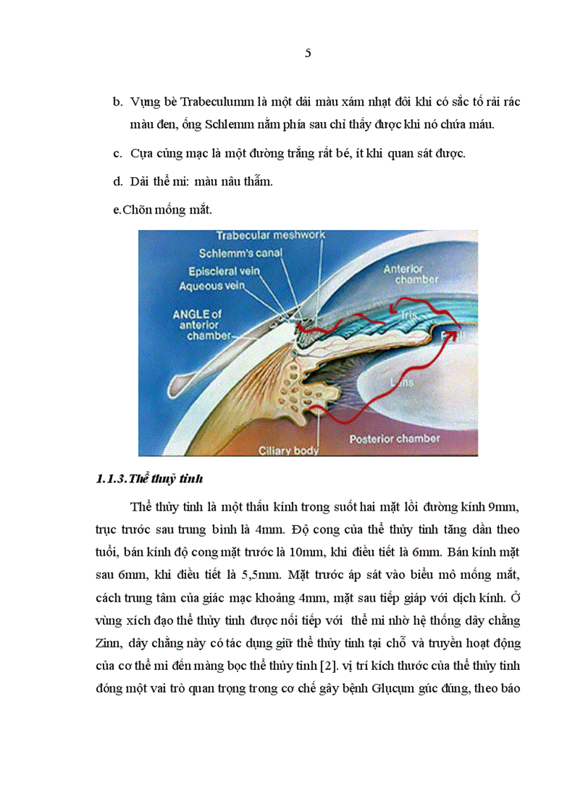 image for page Nghiên cứu biến chứng xẹp tiền phòng sau phẫu thuật cắt bè củng giác mạc điều trị bệnh Glôcôm 1