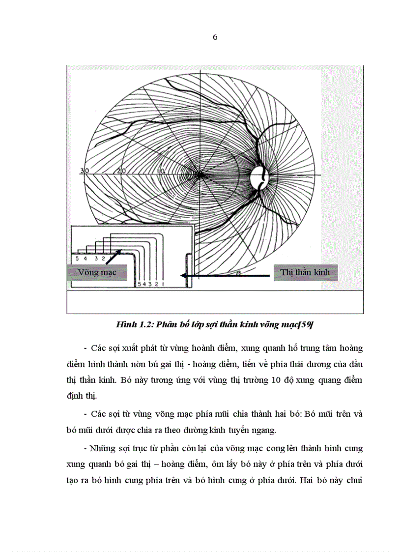 Nghiên cứu ứng dụng thị trường kế Humphrey Matrix phát hiện tổn thương thị trường trong bệnh glôcôm góc mở nguyên phát