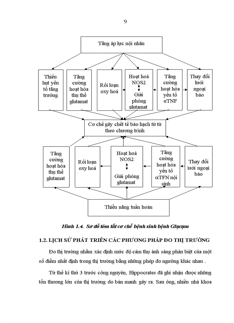 image for page Nghiên cứu ứng dụng thị trường kế Humphrey Matrix phát hiện tổn thương thị trường trong bệnh glôcôm góc mở nguyên phát