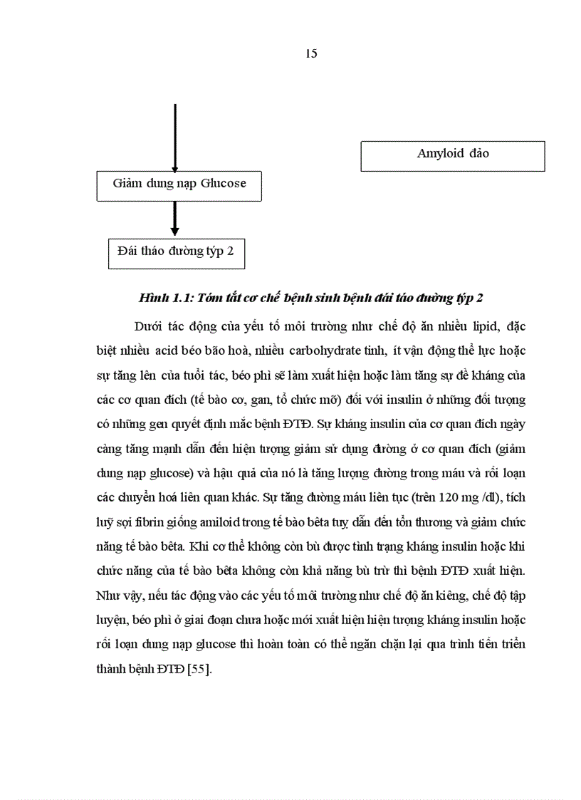 image for page Nghiên cứu Kiến thức thái độ thực hành KAP và tỷ lệ rối loạn Glucose máu tại hải Hậu Nam Định 2010 1
