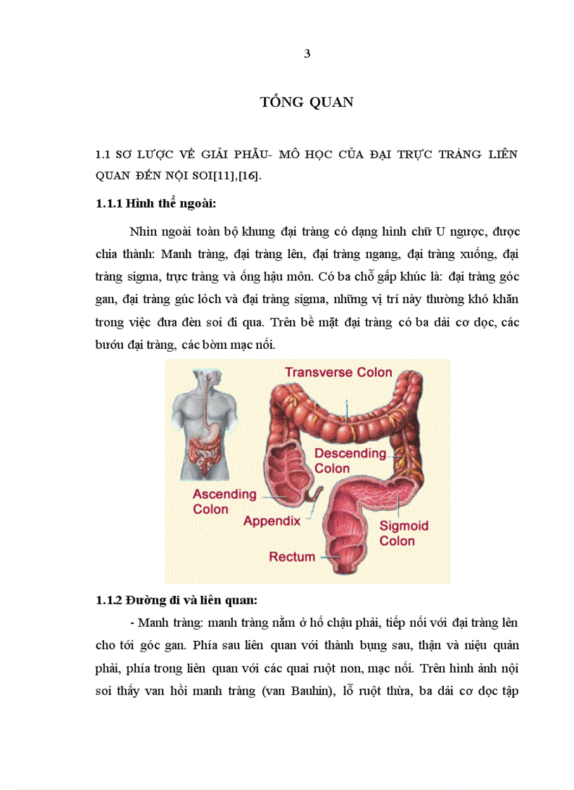 image for page Nhận xét hình ảnh nội soi mô bệnh học của polyp đại trực tràng và kết quả cắt polyp bằng nguồn cắt ENDOPLASMA 1