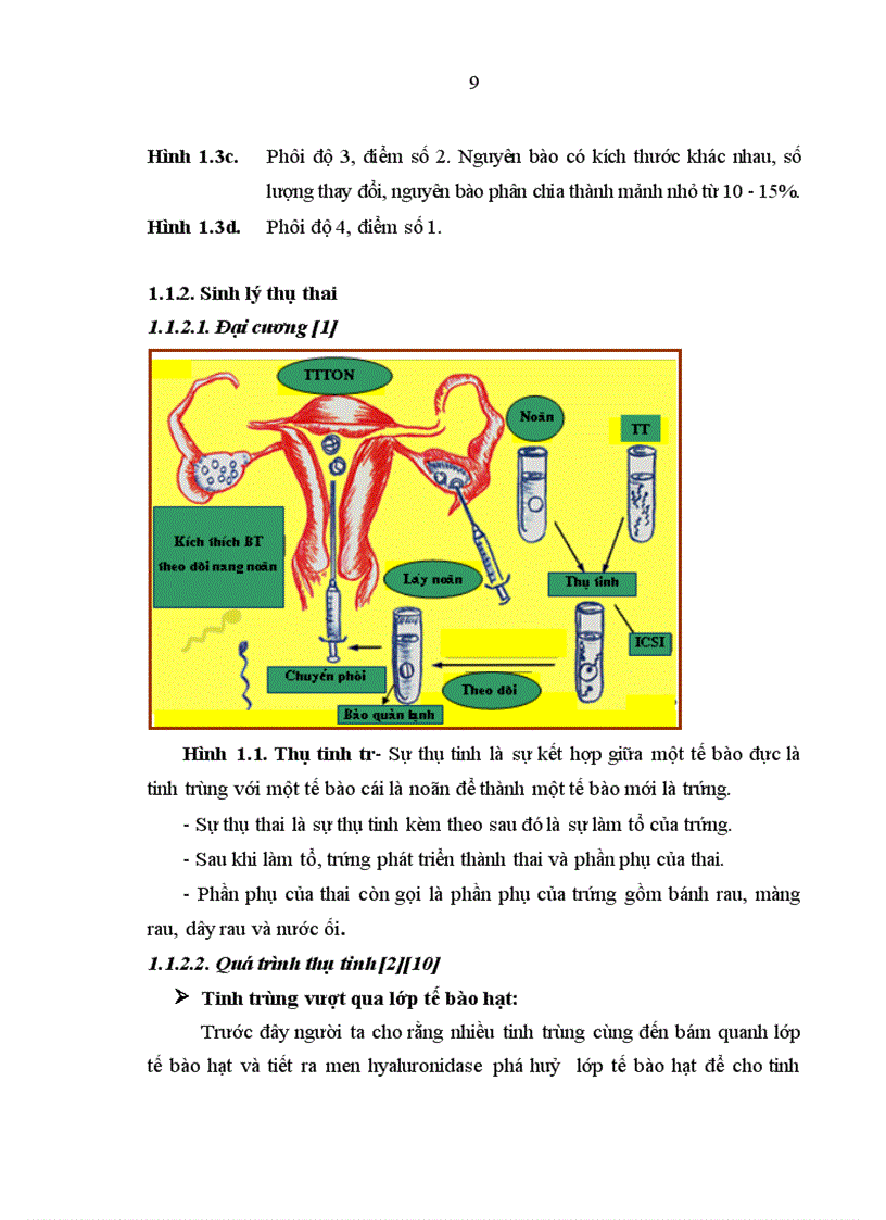 image for page Đánh giá kết quả giảm thiểu phôi chọn lọc tại Bệnh viện Phụ sản Trung ương từ 01 01 2004 đến 31 12 2008 3