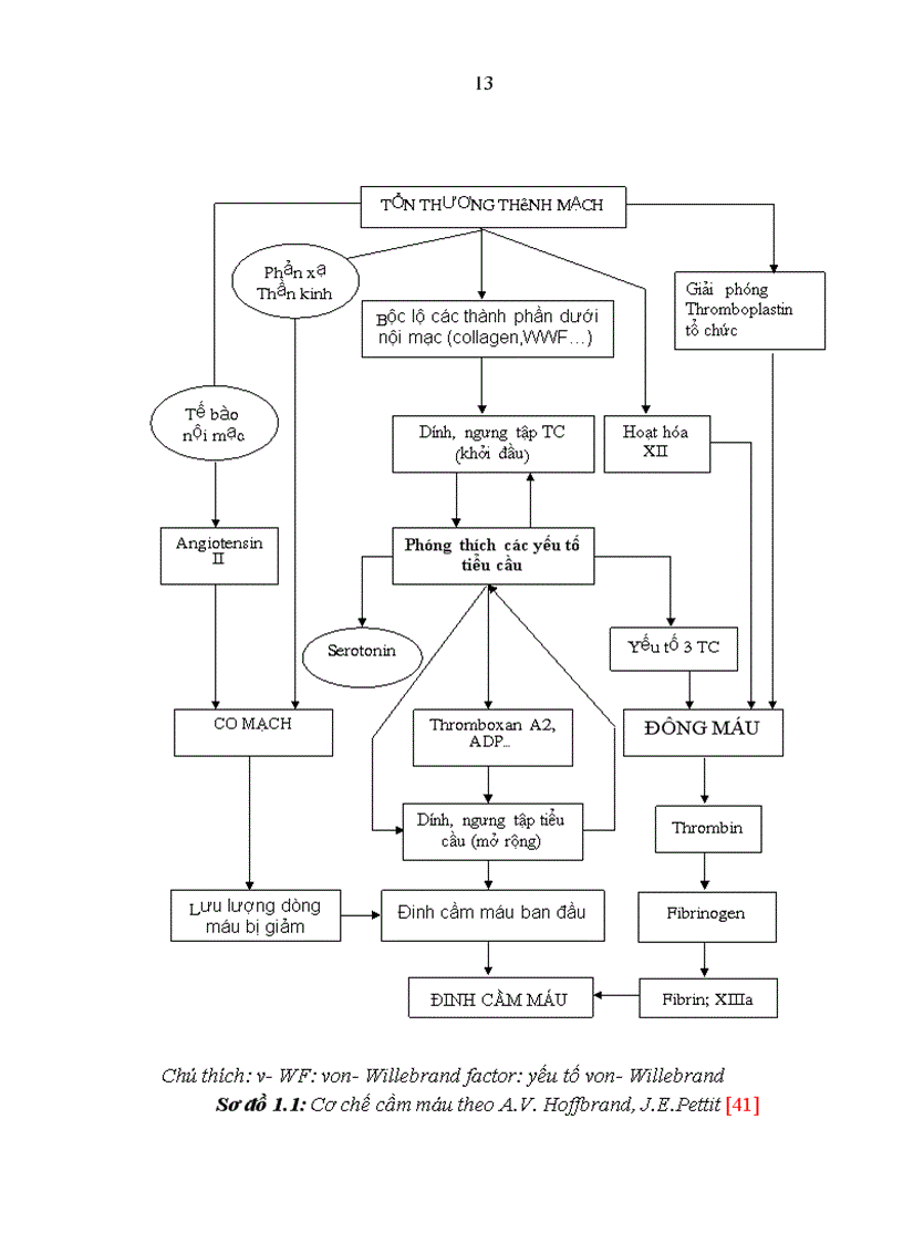 image for page Nghiên cứu đặc điểm đông máu ở bệnh nhân ung thư gan nguyên phát điều trị tại Trung tâm y học hạt nhân ung bướu Bệnh viện Bạch Mai