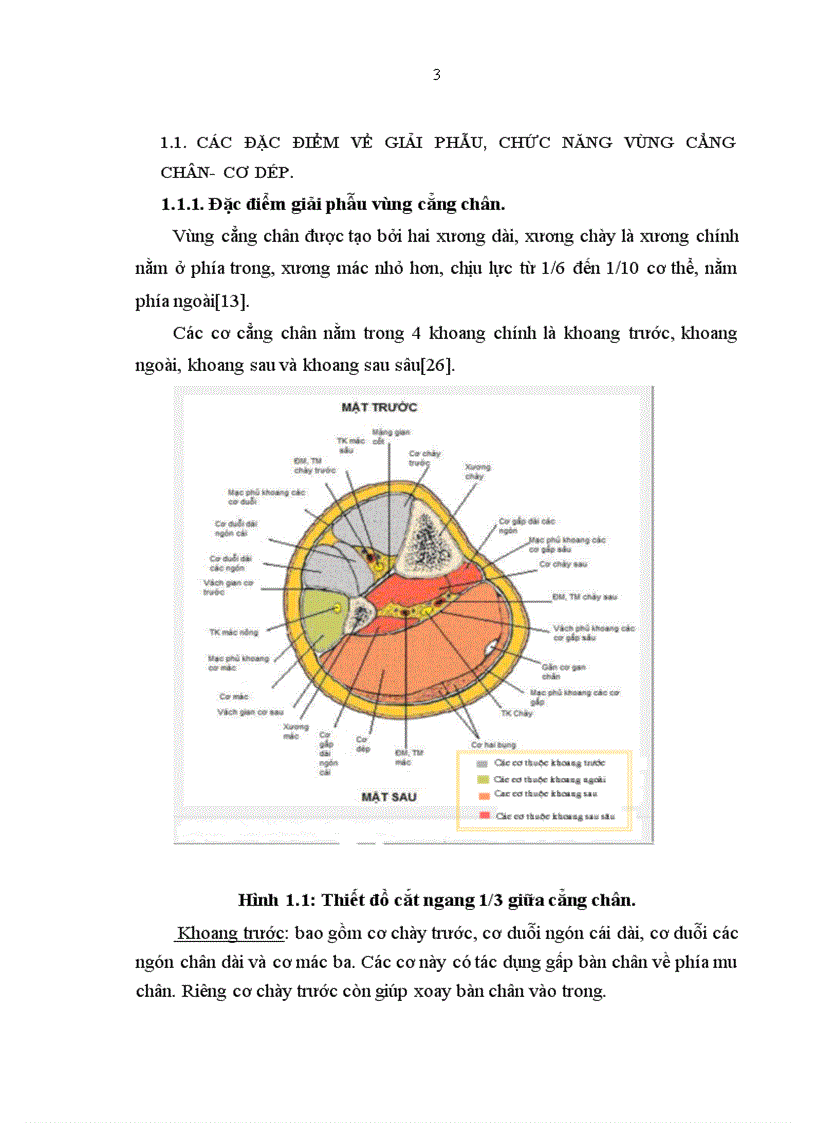 image for page Đánh giá kết quả điều trị khuyết hổng phần mềm 1 3 giữa cẳng chân bằng vạt nửa trong cơ dép tại bệnh viện Hữu Nghị Việt Đức