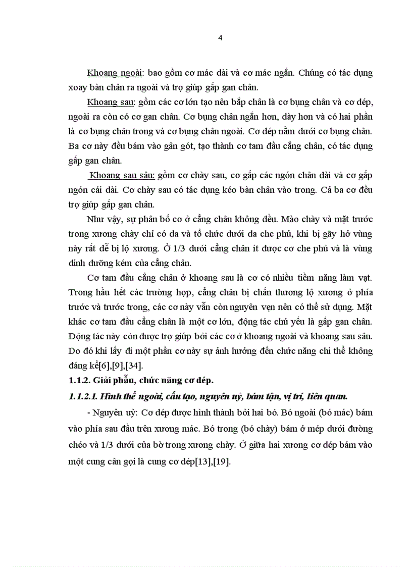 image for page Đánh giá kết quả điều trị khuyết hổng phần mềm 1 3 giữa cẳng chân bằng vạt nửa trong cơ dép tại bệnh viện Hữu Nghị Việt Đức