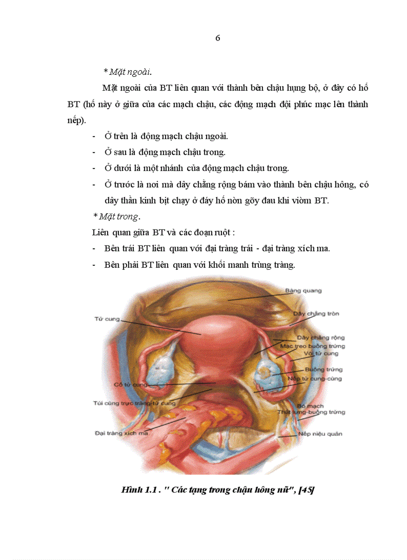 image for page Nhận xét lâm sàng cận lâm sàng và giá trị sinh thiết tức thì trong chẩn đoán u buồng trứng tại bệnh viện K 1