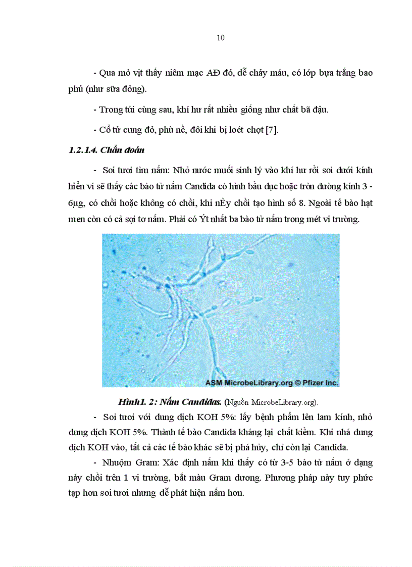 image for page Nghiên cứu đặc điểm lâm sàng cận lâm sàng của viêm AĐ và hiệu quả của Fluomizin trong điều trị tại Bệnh viện Phụ Sản Trung ương 1