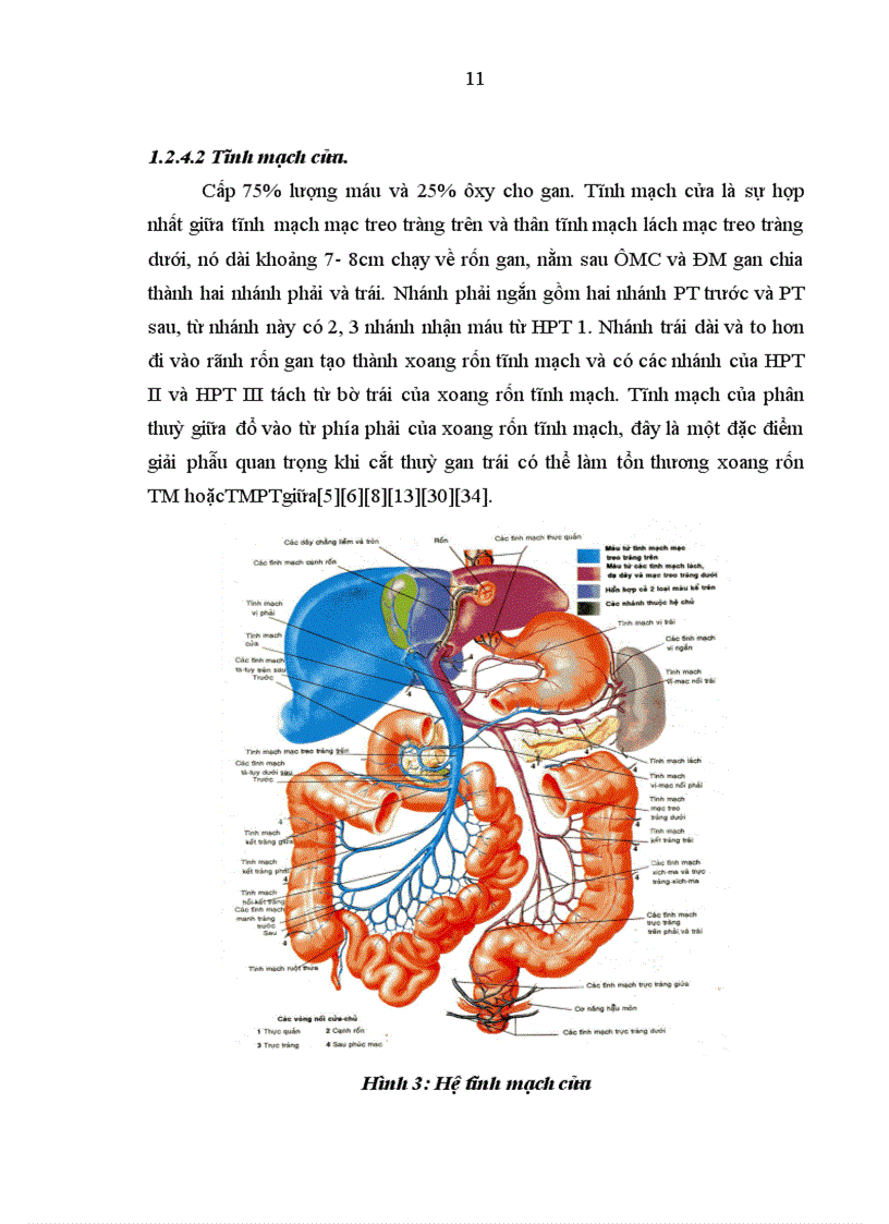 image for page Đánh giá kết quả phẫu thuật của chấn thương và vết thương gan tại Bệnh viện Hữu Nghị Việt Đức