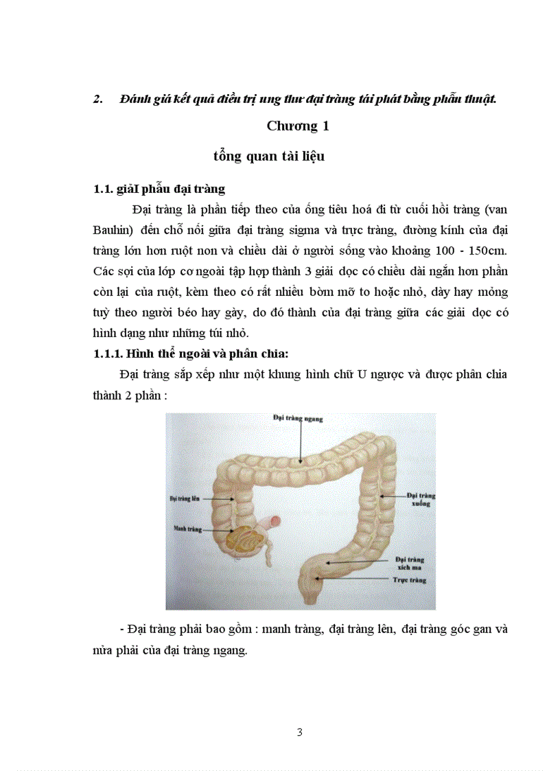 image for page Nghiên cứu kết quả điều trị phẫu thuật ung thư đại tràng tái phát sau mổ tại bệnh viện Việt Đức