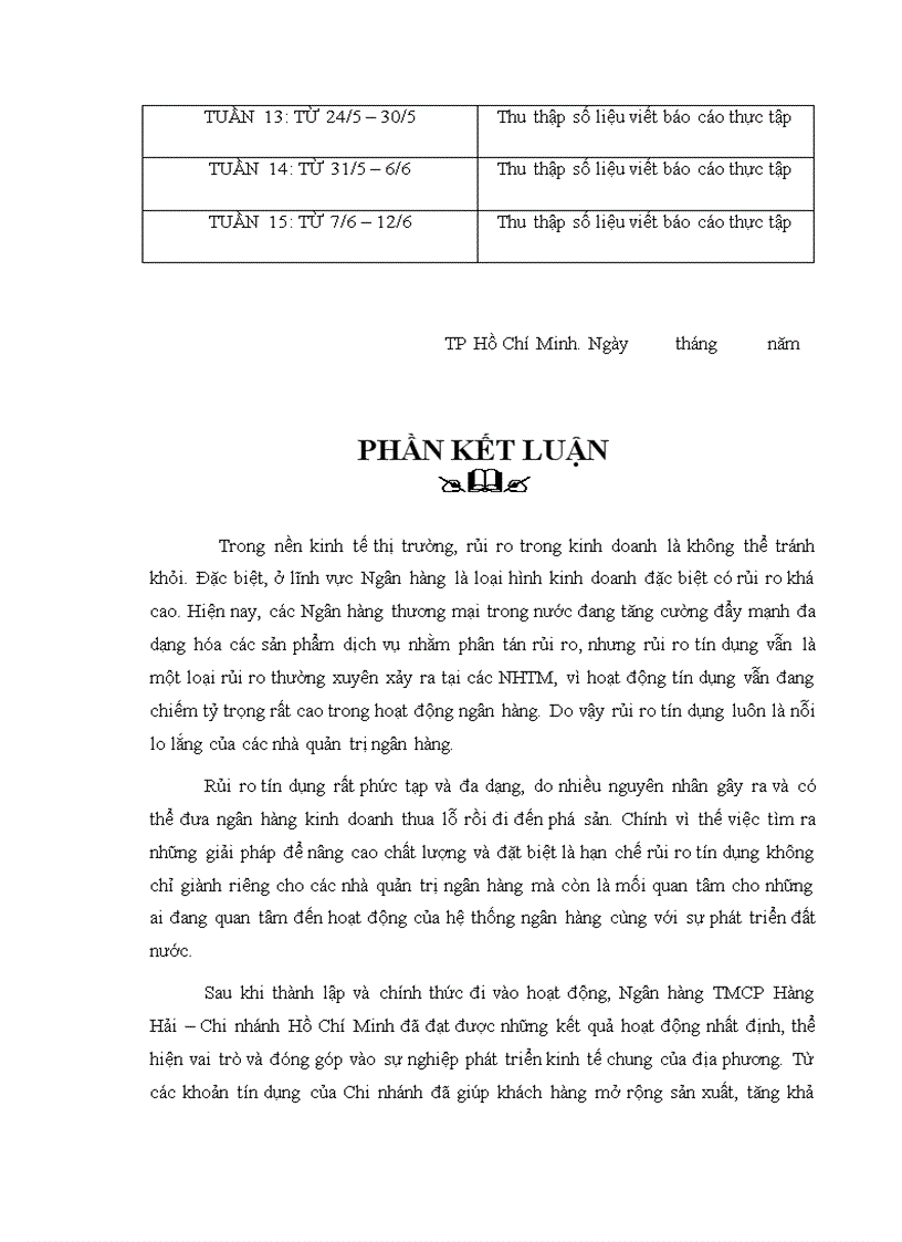 image for page Các giải pháp phòng ngừa rủi ro tín dụng tại Ngân hàng TMCP Hàng Hải Chi nhánh Hồ Chí Minh