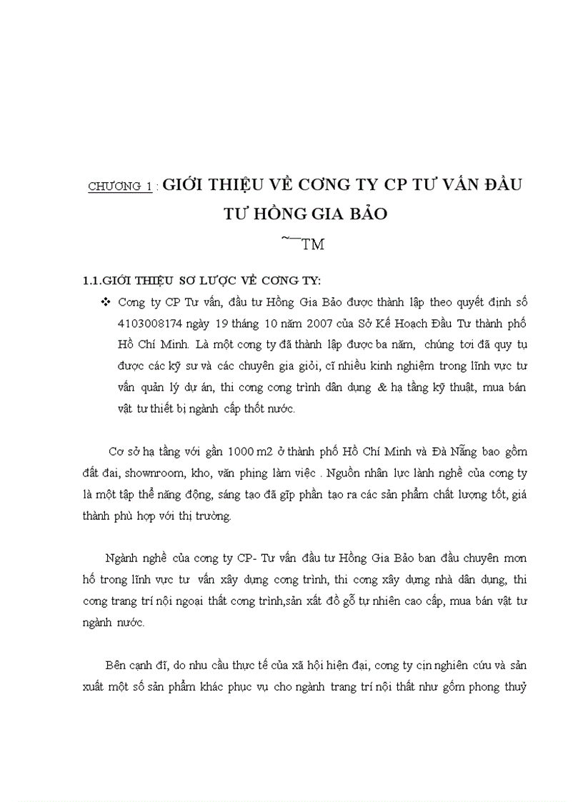image for page Phân tích hoạt động kinh doanh của công ty cổ phần tư vấn đầu tư HOÀNG GIA BẢO