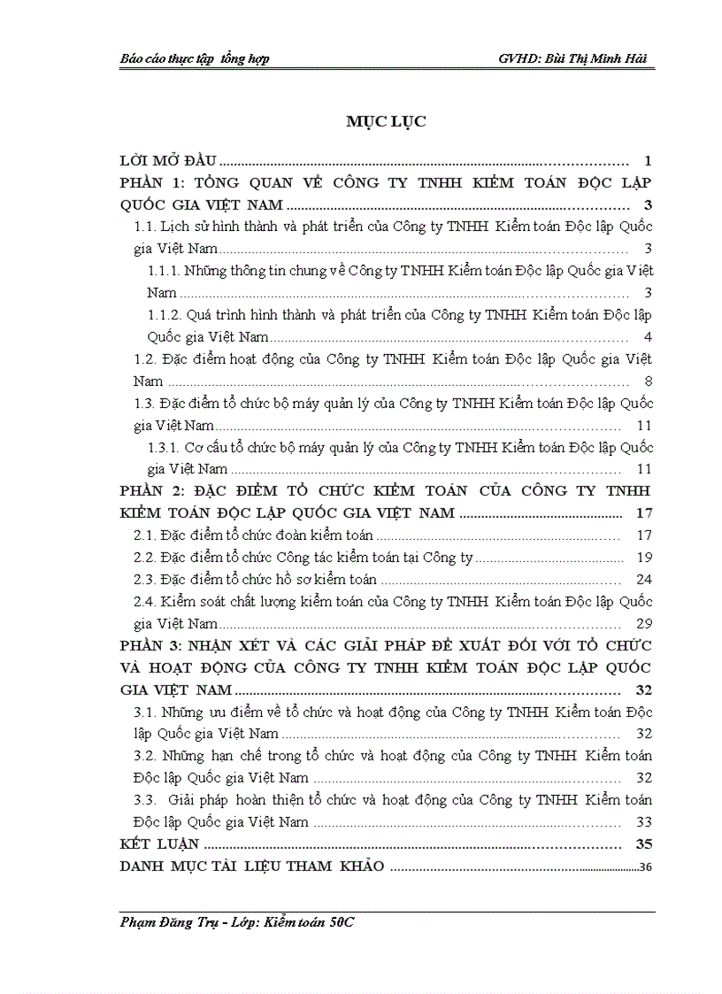 Đặc điểm tổ chức kiểm toán của Công ty TNHH Kiểm toán Độc lập Quốc Gia Việt Nam 1