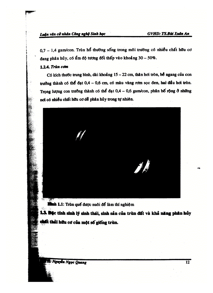 image for page Khảo sát ảnh hưởng trùn đất trong xử lý phụ phẩm rau cải