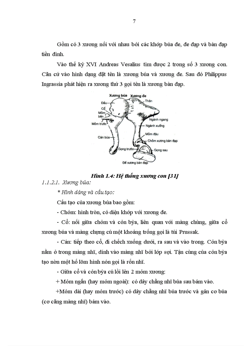 image for page Nghiên cứu hình thái lâm sàng thính lực nhĩ lượng và cắt lớp vi tính của bệnh nhân cứng khớp và dị dạng hệ thống xương con
