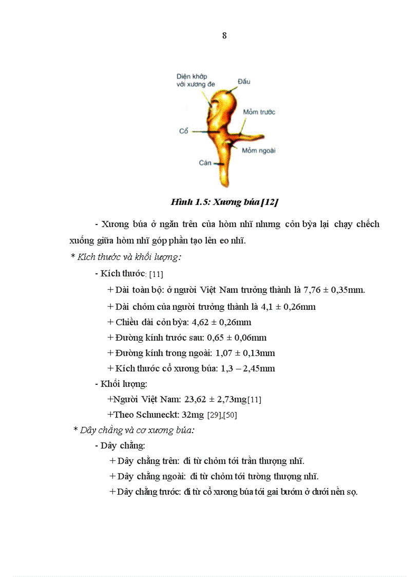 image for page Nghiên cứu hình thái lâm sàng thính lực nhĩ lượng và cắt lớp vi tính của bệnh nhân cứng khớp và dị dạng hệ thống xương con