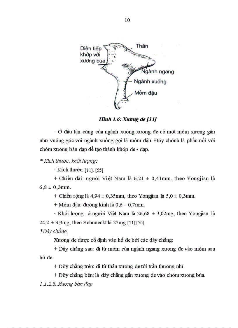 image for page Nghiên cứu hình thái lâm sàng thính lực nhĩ lượng và cắt lớp vi tính của bệnh nhân cứng khớp và dị dạng hệ thống xương con