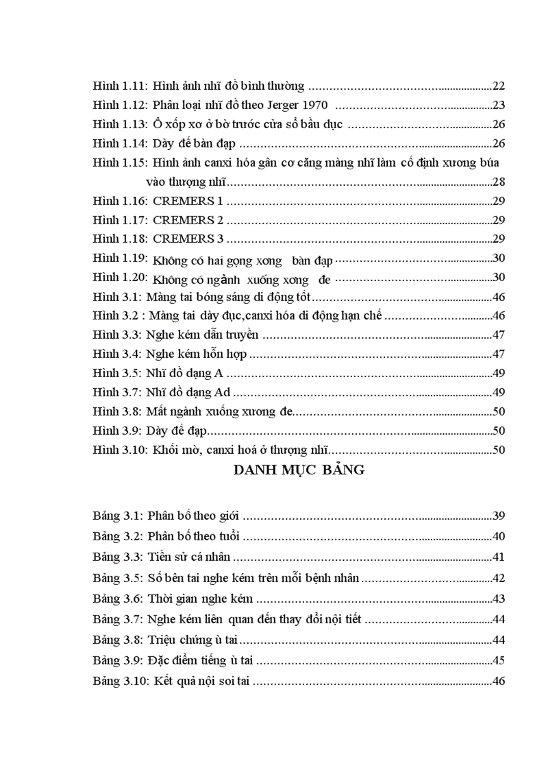 image for page Nghiên cứu hình thái lâm sàng thính lực nhĩ lượng và cắt lớp vi tính của bệnh nhân cứng khớp và dị dạng hệ thống xương con