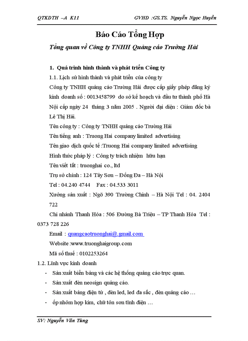 image for page Báo Cáo Tổng Hợp Tổng quan về Công ty TNHH Quảng cáo Trường Hải