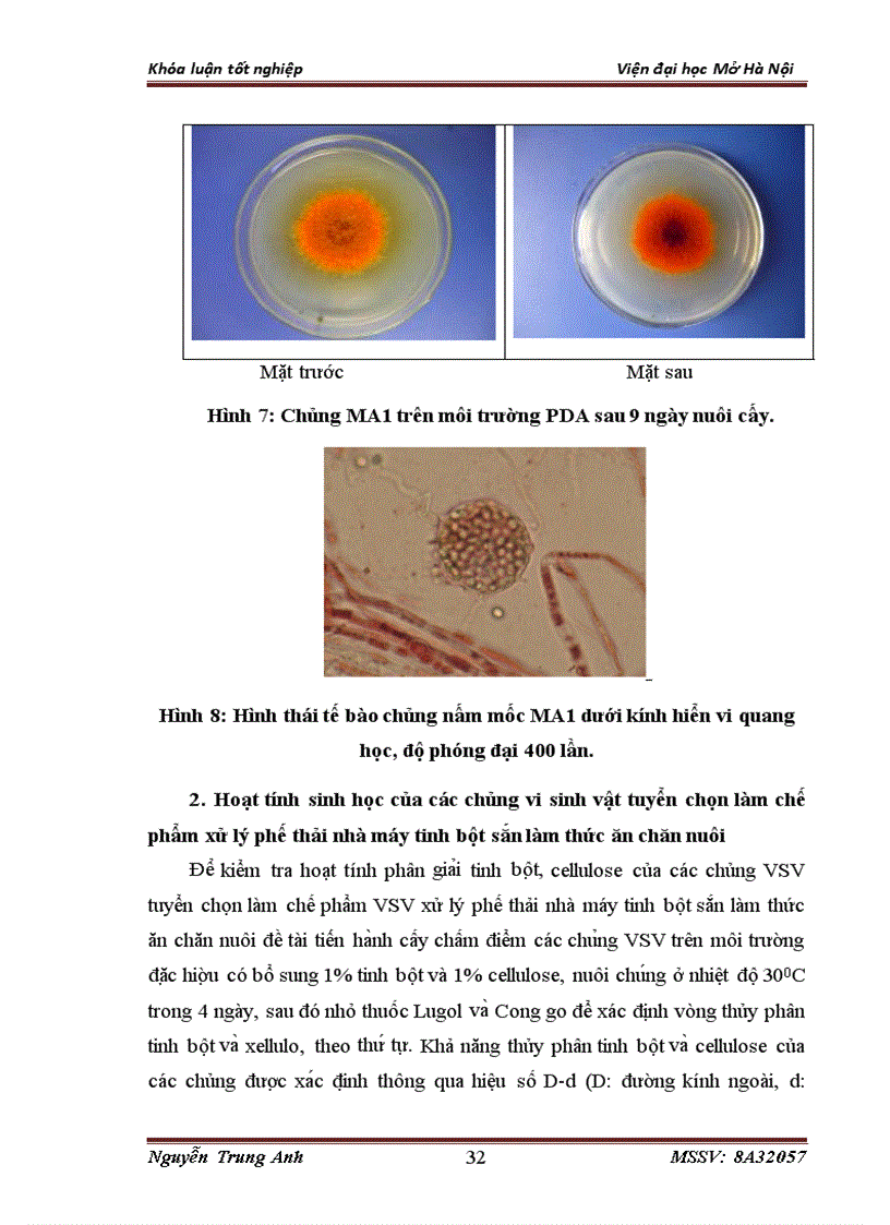 image for page Nghiên cứu một số yếu tố ảnh hưởng đến sinh trưởng của vi sinh vật sử dụng trong sản xuất chế phẩm xử lý bã thải sau CBTBS làm thức ăn chăn nuôi