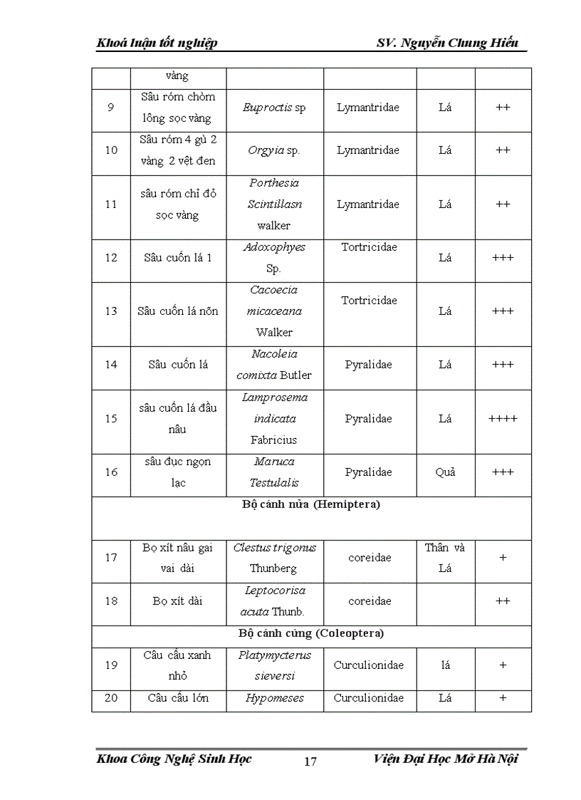 image for page Điều tra nghiên cứu sự đa dạng về thành phần loài côn trùng và đặc điểm sinh học sinh thái của sâu xám Agrotis ypsilon Trên cây lạc tại vùng ngoại thành Hà Nội vụ Xuân Hè 2012