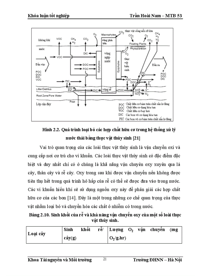 image for page Nghiên cứu khả năng xử lý nước thải nhà vệ sinh tự hoại của một số loài thực vật thủy sinh tại Việt Nam 1