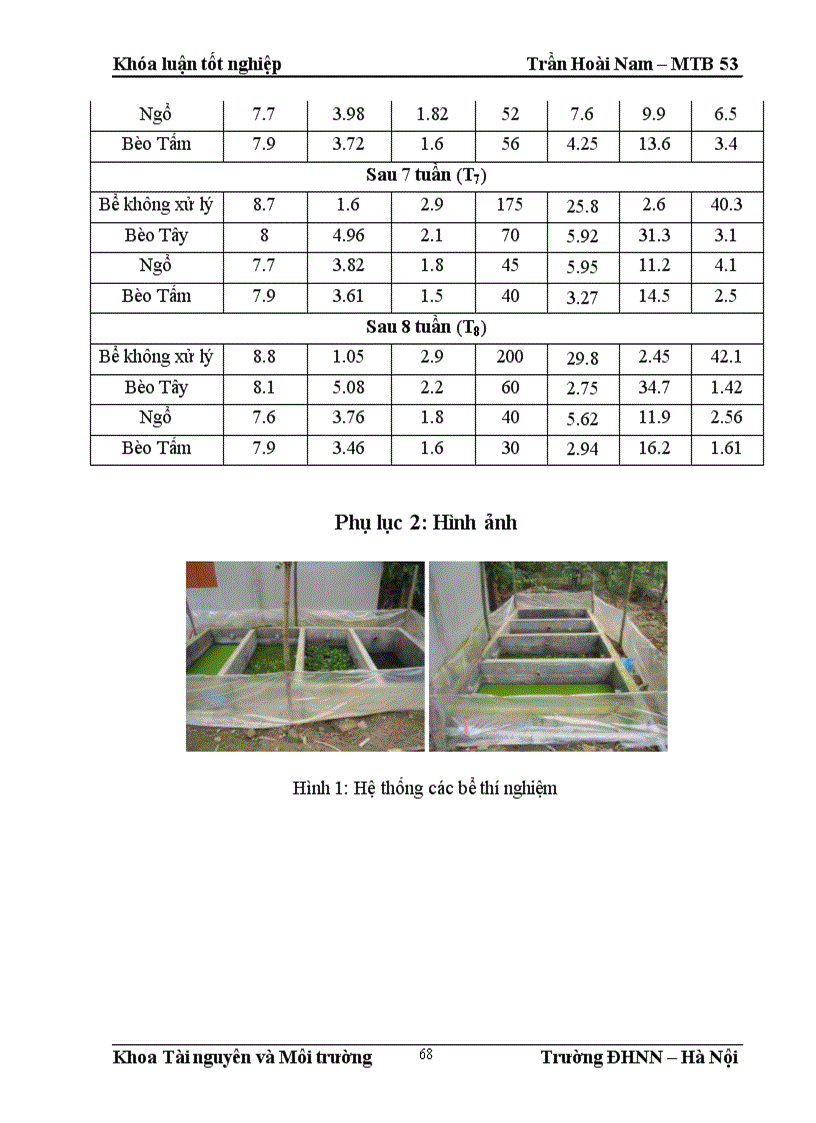 image for page Nghiên cứu khả năng xử lý nước thải nhà vệ sinh tự hoại của một số loài thực vật thủy sinh tại Việt Nam 1