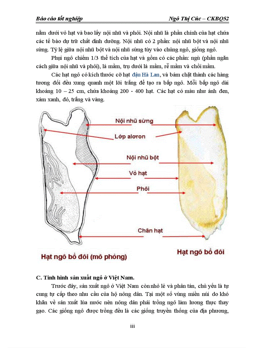 image for page Nghiên cứu thiết kế máy nghiền ngô trong dây chuyền sx thức ăn chăn nuôi