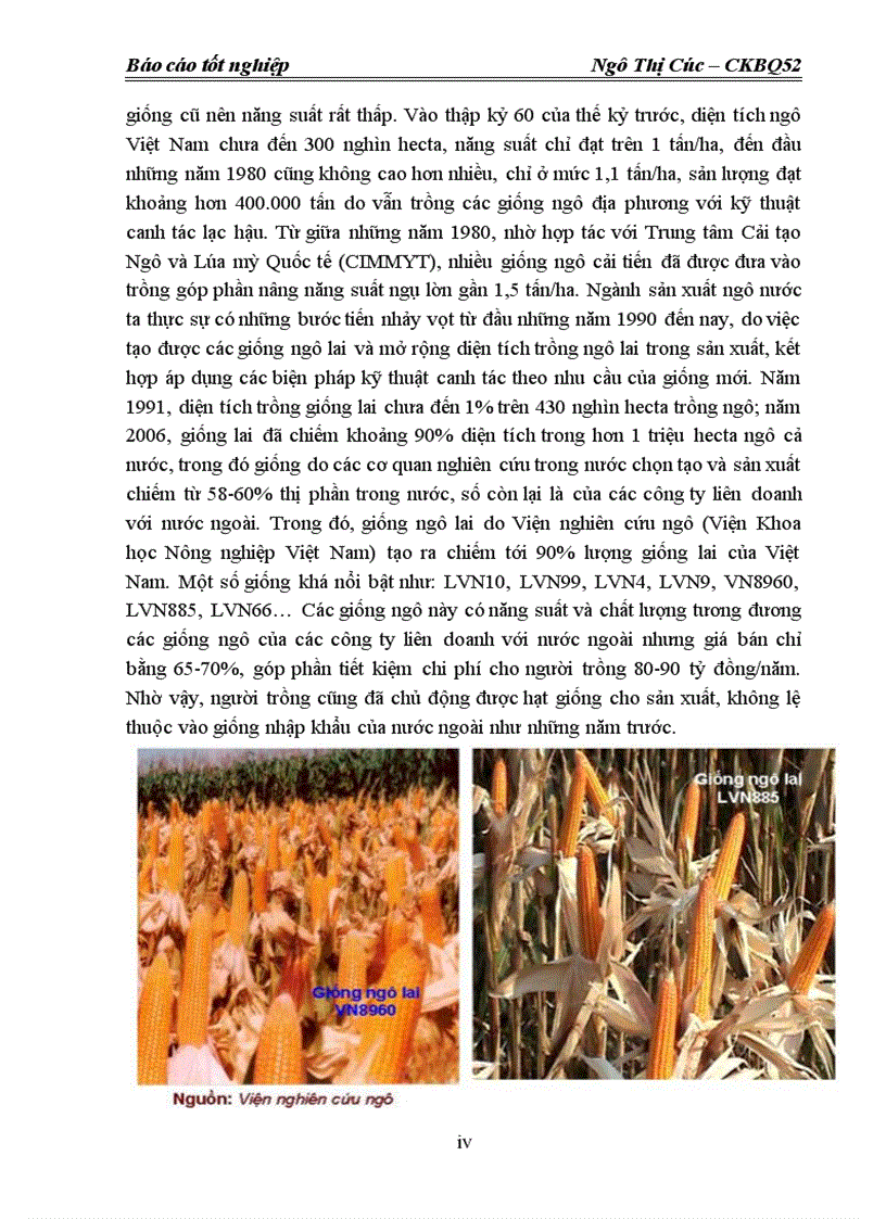 image for page Nghiên cứu thiết kế máy nghiền ngô trong dây chuyền sx thức ăn chăn nuôi