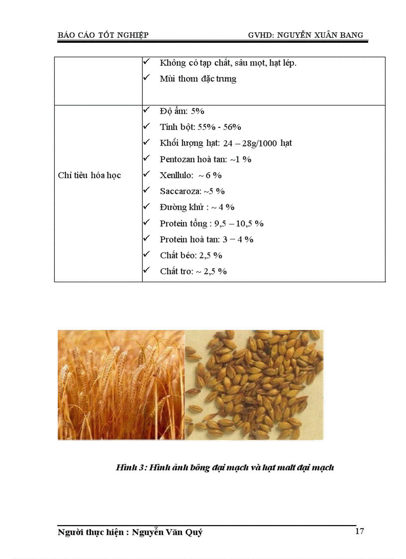image for page Tìm hiểu quy trình sản xuất bia hơi tại công ty CP bia Sài Gòn Hà Nội