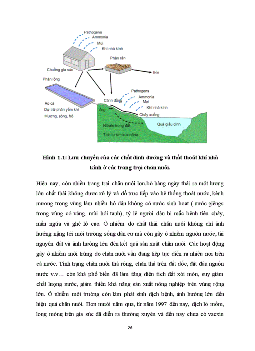 image for page Đánh giá hiện trạng quản lý chất thải trang trại chăn nuôi lợn tại xã Liên Nghĩa huyện Văn Giang tỉnh Hưng Yên và đề xuất một số phương pháp quản lý
