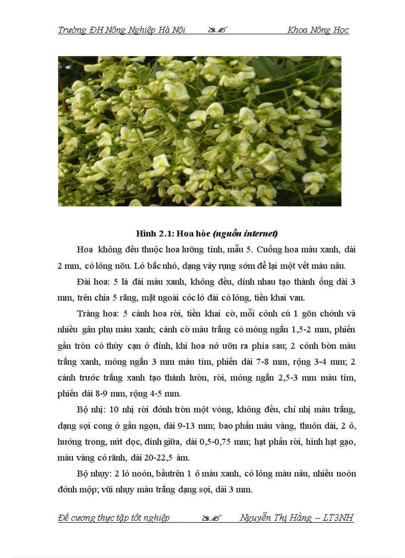 image for page Điều tra tình hình sản xuất hòe trên địa bàn huyện Nghĩa Đàn tỉnh Nghệ An 1