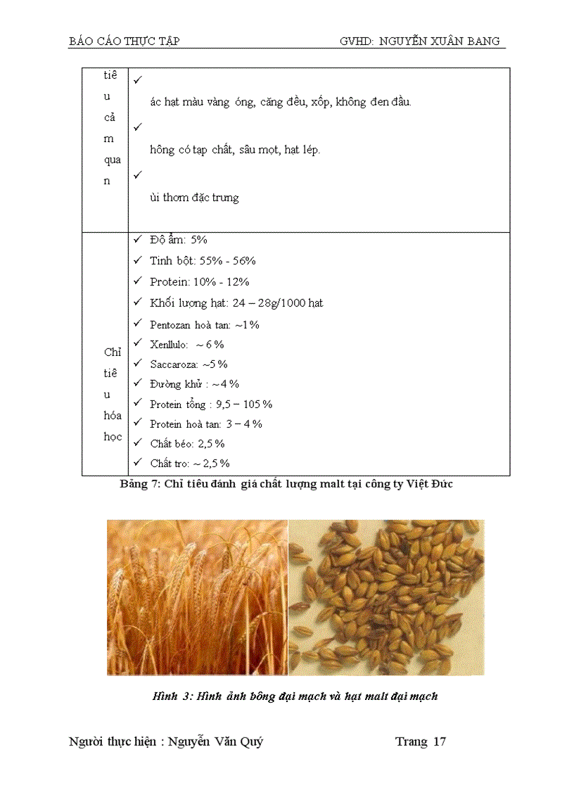 image for page Tìm hiểu quy trình sản xuất bia hơi tại công ty CP bia Sài gòn Hà Nội 3