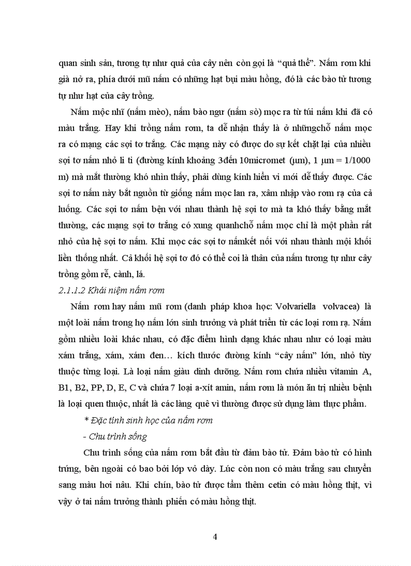 image for page Phân tích hiệu quả kinh tế trong tiêu thụ nấm rơm ở huyện Tiên Lãng thành phố Hải Phòng