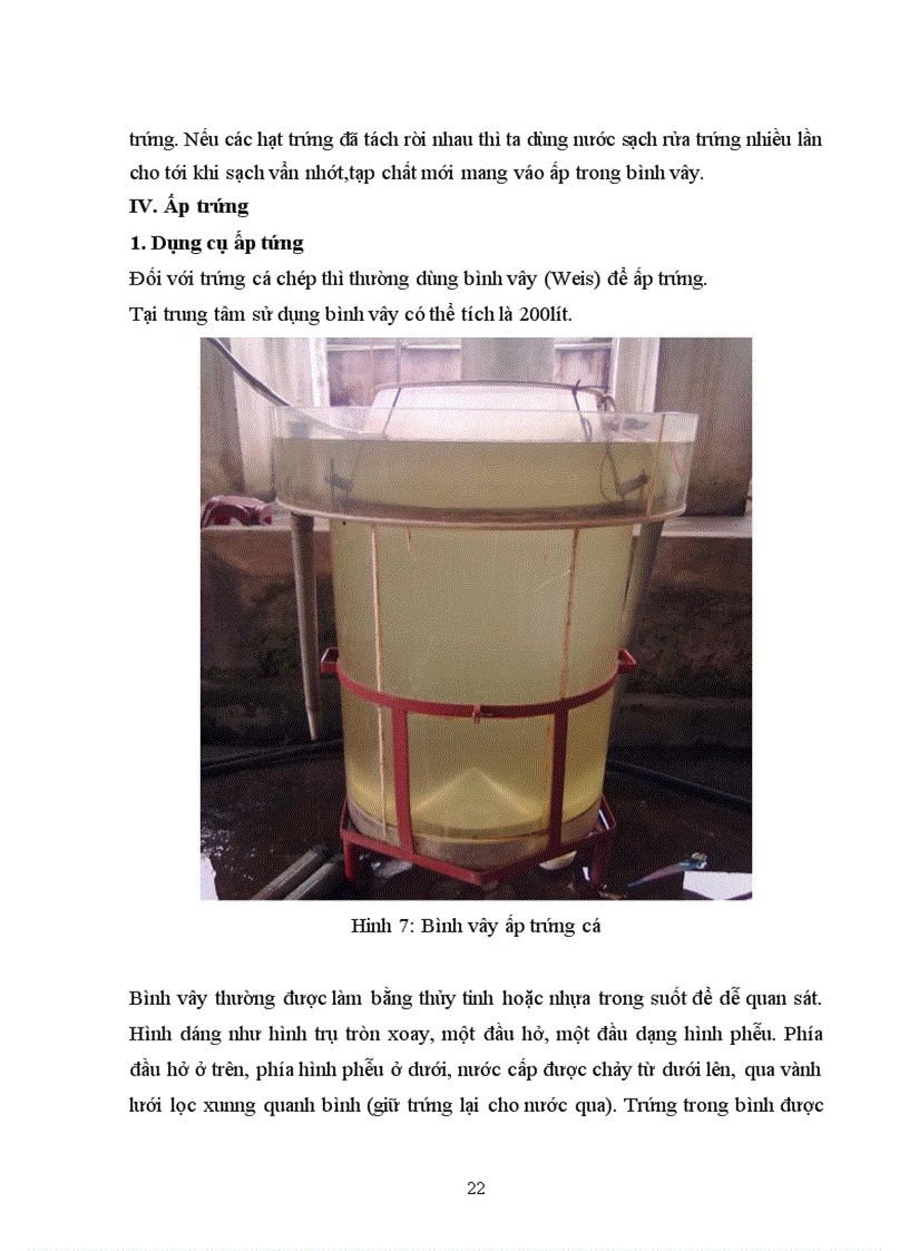 image for page Tìm hiểu quy trình sản xuất giống cá chép V1 Cyprinus carpio Linnaeus 1785