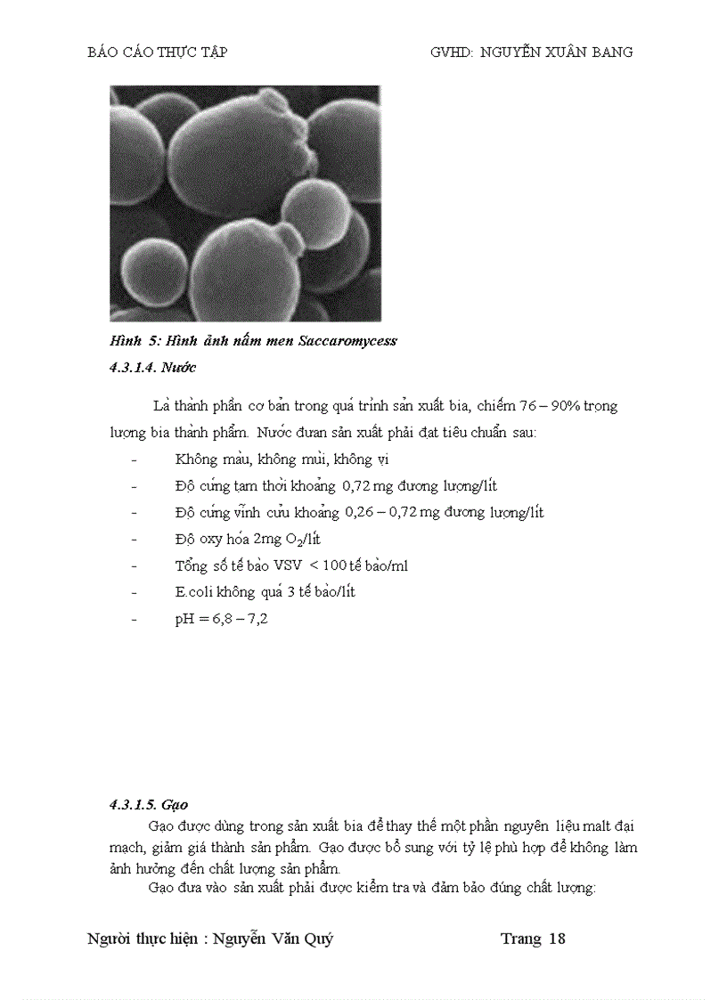 image for page Tìm hiểu quy trình sản xuất bia hơi tại công ty CP bia Sài gòn Hà Nội 6