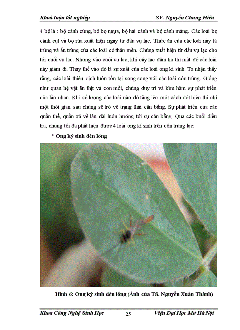 image for page Điều tra nghiên cứu sự đa dạng về thành phần loài côn trùng và đặc điểm sinh học sinh thái của sâu xám Agrotis ypsilon Trên cây lạc tại vùng ngoại thành Hà Nội vụ Xuân Hè 2012 1