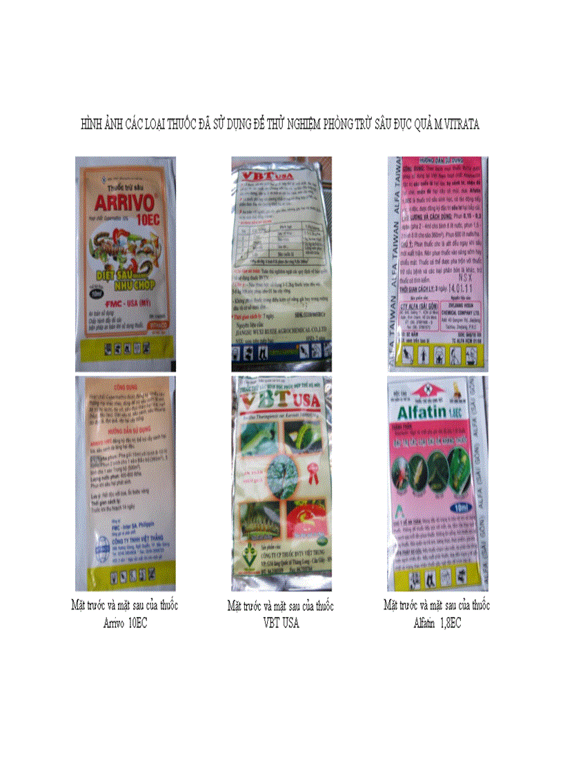 image for page Nghiên cứu sự phát sinh gây hại của sâu miệng nhai thuộc Bộ cánh vẩy Lepidoptera hại đậu rau vụ Xuân Hè 2011 tại Gia Lâm Hà Nội