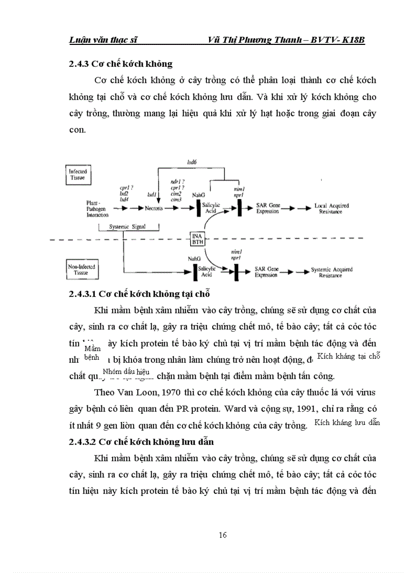 image for page NGHIÊN CứU KHả NĂNG Sử DụNG CHấT KíCH KHáNG TRONG PHòNG Trừ BệNH NấM Gỉ SắT Và Đốm nâu hại lạc