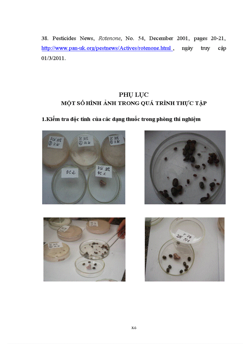 image for page Nghiên cứu tác dụng diệt ve Ixodidae ký sinh trên bò của các dạng thuốc chế từ cây thuốc cá và ứng dụng điều trị